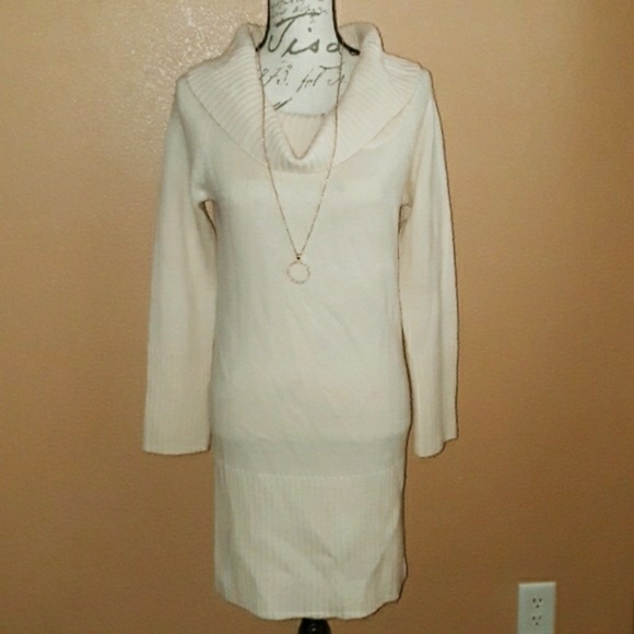 BCBGMaxAzria Sweaters - BCBG MaxAzria Cowlneck Sweater dress sz M